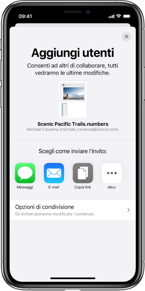 La schermata “Aggiungi persone” che mostra un’immagine del foglio di calcolo da condividere. Al di sotto ci sono i pulsanti delle modalità per inviare l’invito, che includono Messaggi, Mail, “Copia link” e Altro. Nella parte inferiore c’è il pulsante “Opzioni di condivisione”.