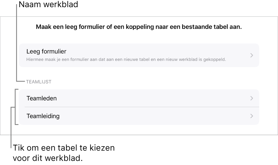 Een lijst met tabellen die in dezelfde spreadsheet staan, met bovenaan de optie om een leeg formulier aan te maken.