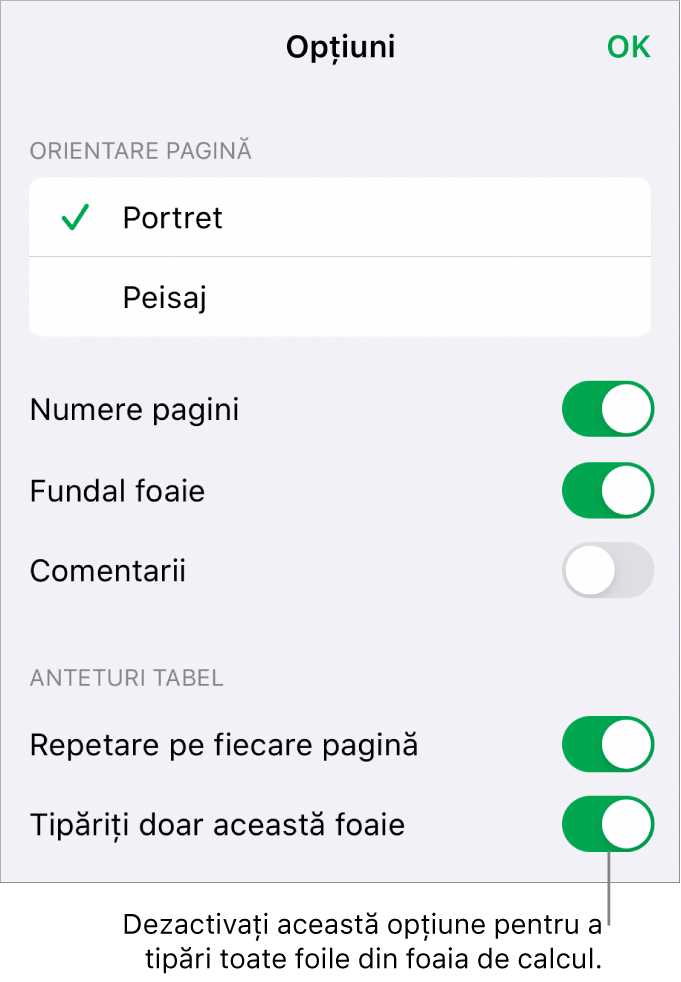 Opțiunile de tipărire pentru alegerea orientării paginii, afișarea numerelor paginilor și anteturilor și pentru alegerea dimensiunii hârtiei și a paginilor care vor fi tipărite.