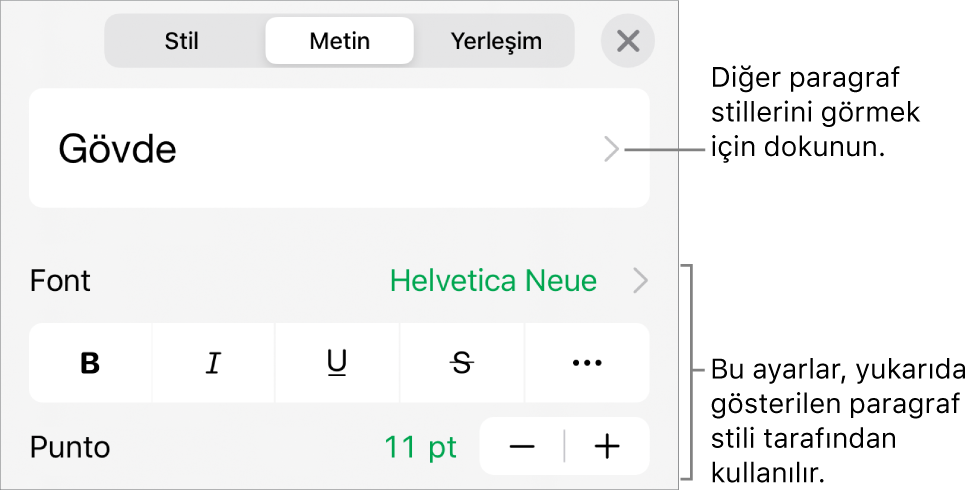 Paragraf ve karakter stillerini, fontu, puntoyu ve rengi ayarlamayla ilgili metin denetimlerini gösteren Biçim menüsü.