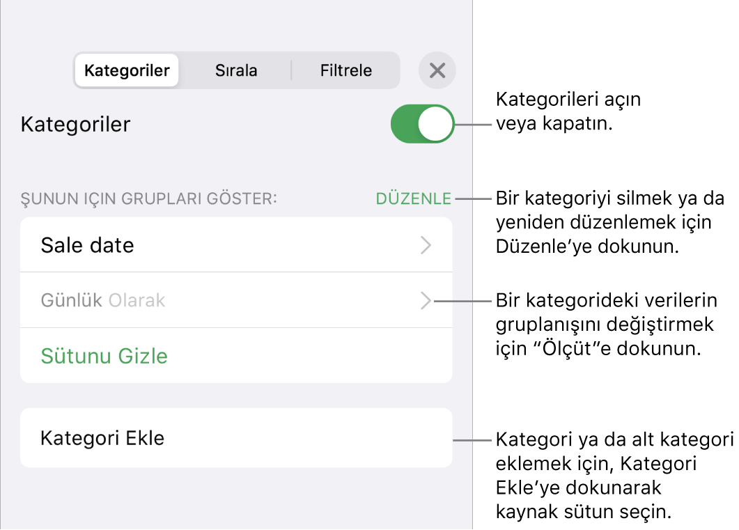 Kategorileri kapatma, kategorileri silme, verileri yeniden gruplama, kaynak sütunu gizleme ve kategori ekleme seçeneklerini içeren, iPhone için Kategoriler menüsü.