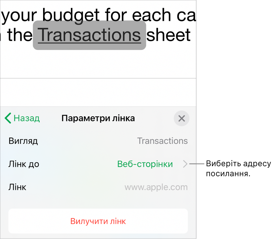 Елементи керування параметрів посилання з полями «Вигляд», «Посилання на» (вибрано значення «веб-сторінка») і «Посилання». Кнопка «Вилучити посилання» розташована внизу.