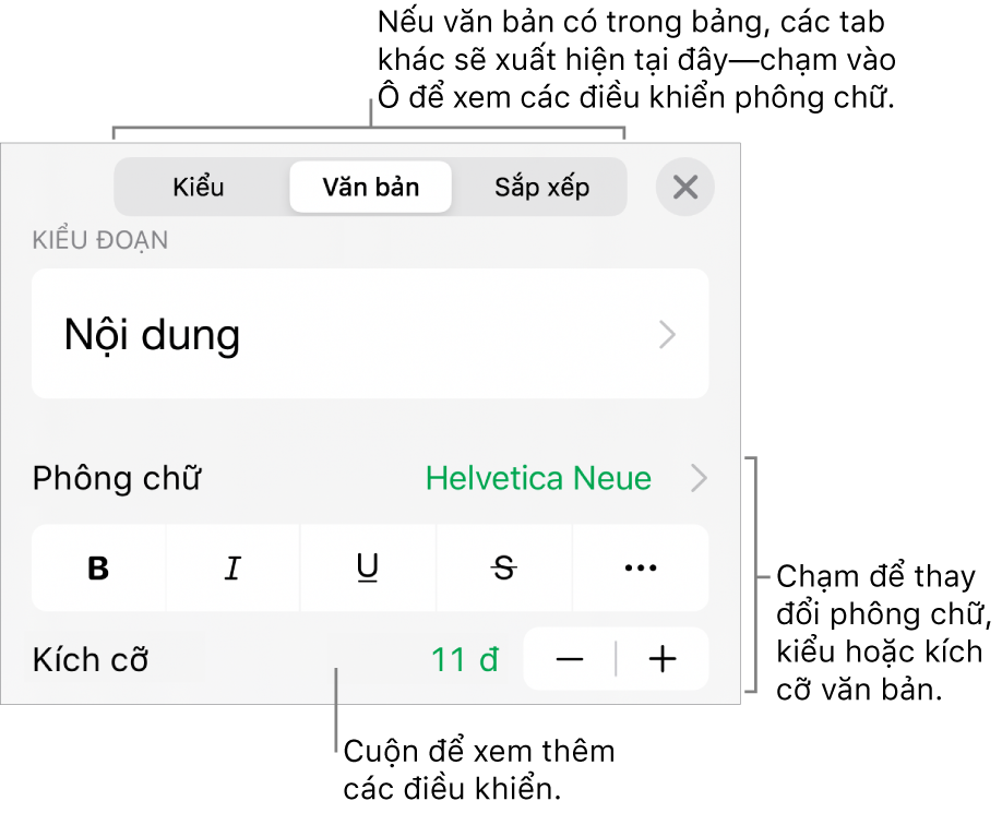 Các điều khiển văn bản trong menu Định dạng để đặt kiểu, phông chữ, kích cỡ và màu của đoạn và ký tự.