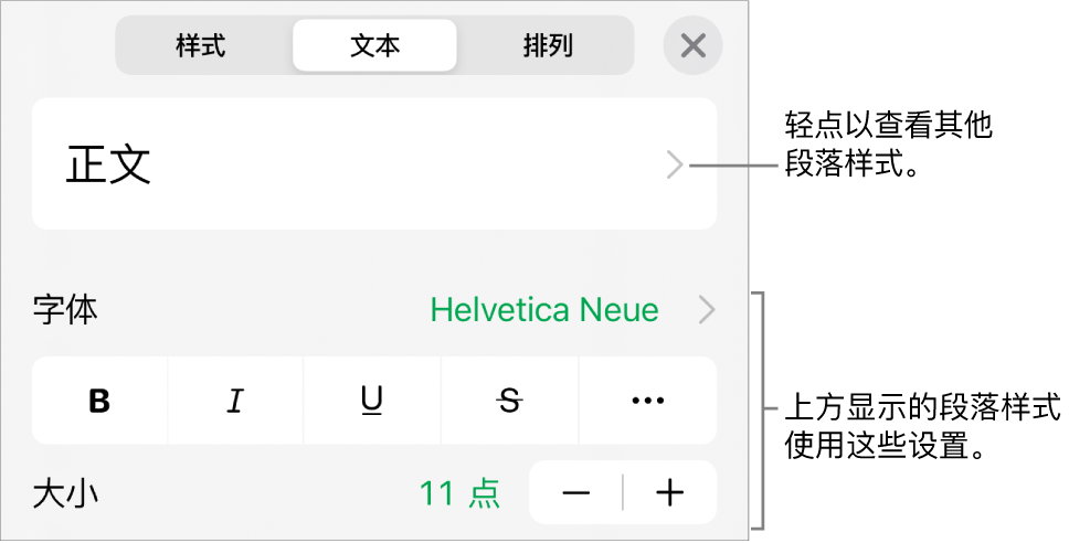 显示文本控制的“格式”菜单，用于设定段落和字符样式、字体、大小和颜色。