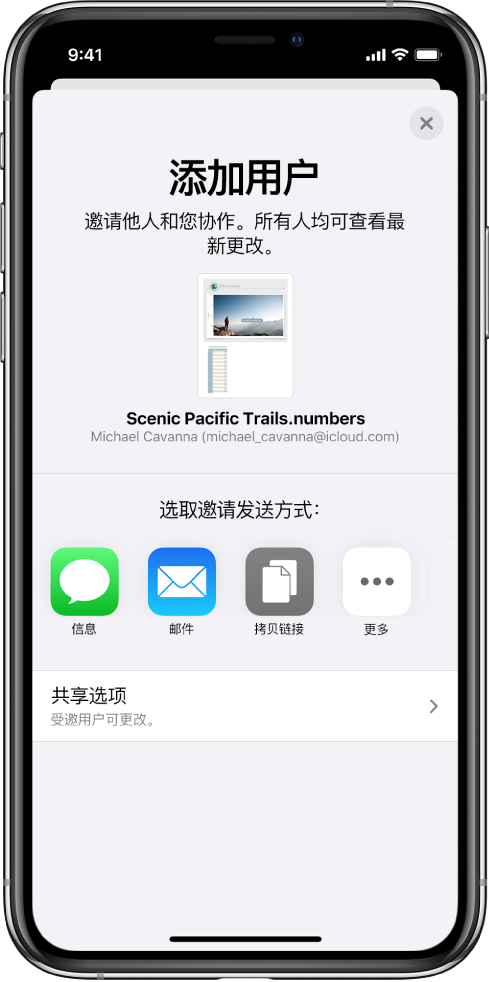 “添加用户”屏幕，显示要共享电子表格的图像。其下方是邀请发送方式的按钮，包括“信息”、“邮件”和“拷贝链接”等。底部是“共享选项”按钮。