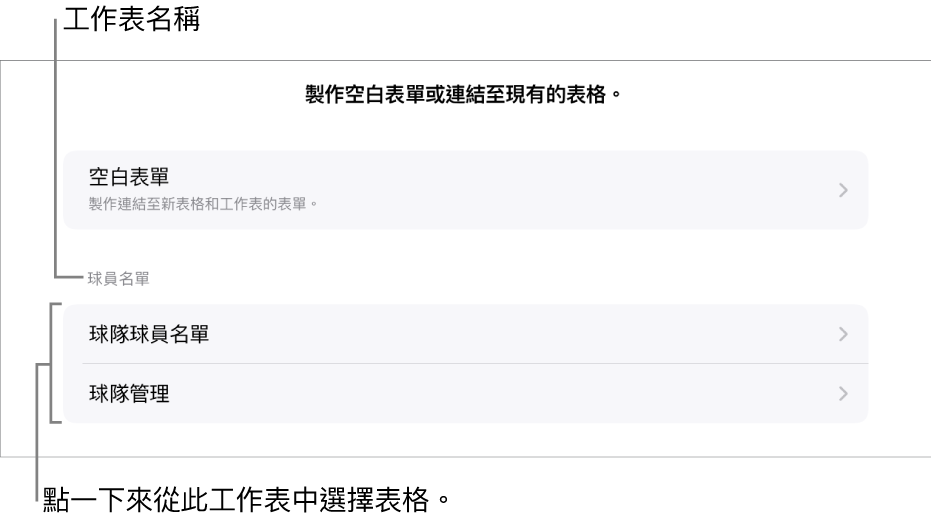 表格列表在同一個試算表上顯示，以及最上方顯示製作空白表單的選項。