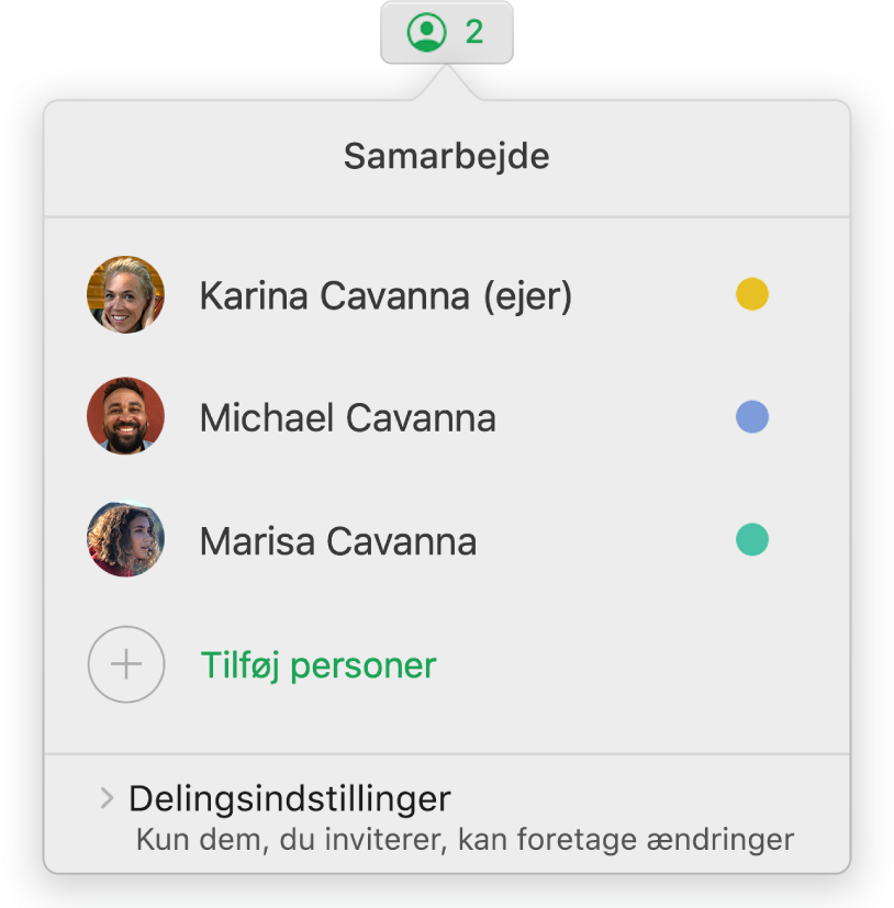 Menuen Samarbejde, der viser navnene på de personer, der samarbejder om regnearket. Under navnene vises delingsindstillinger.