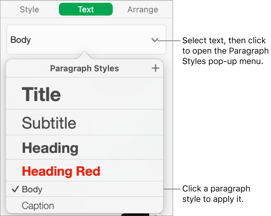 The Paragraph Styles menu with a tick next to the selected style.