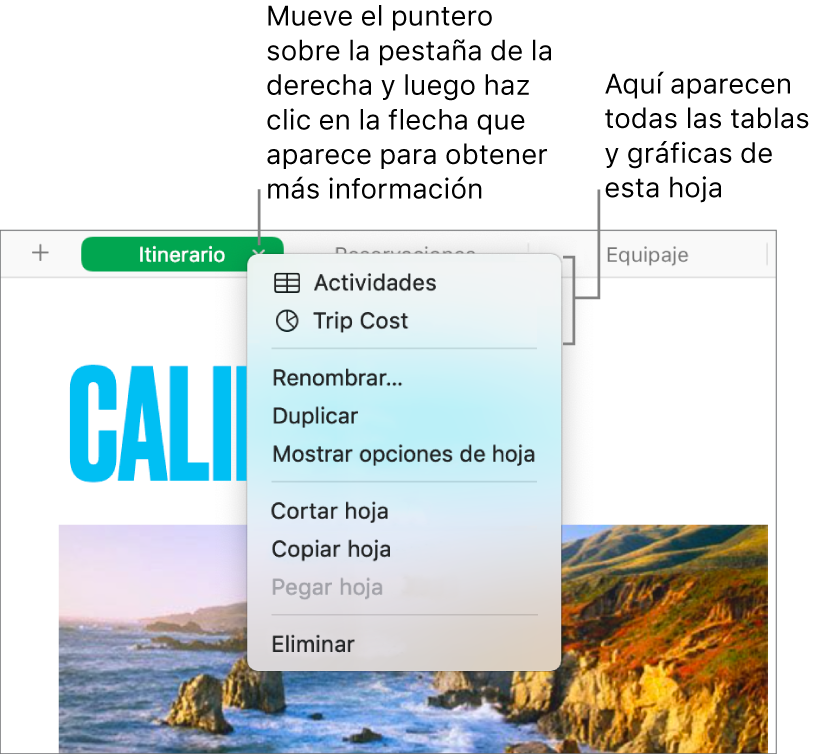 Una pestaña de hoja de cálculo con el menú de función rápida abierto, donde se muestran opciones como Duplicar.