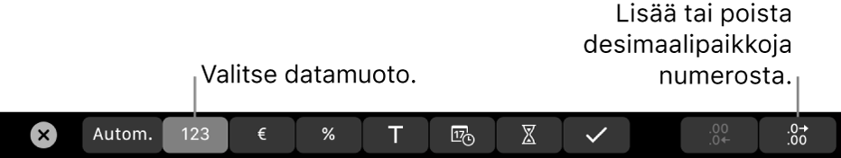MacBook Pron Touch Bar, jossa on säätimet datamuodon valitsemiseen ja numeron desimaalipaikkojen lisäämiseen tai poistamiseen.