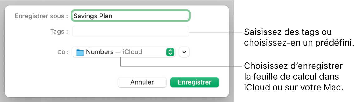 Zone de dialogue Enregistrer sous.