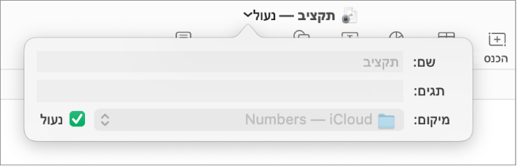 פריט קופצני עבור נעילה או ביטול נעילה של גיליון העבודה.