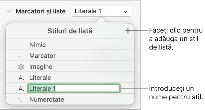 Meniul pop-up Stiluri de listă, cu un buton Adaugă în colțul din dreapta sus și un nume de stil substituent cu textul aferent selectat.