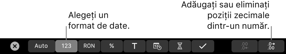Bara Touch Bar de pe MacBook Pro cu comenzi pentru alegerea formatării datelor și adăugarea sau eliminarea pozițiilor zecimale dintr-un număr.