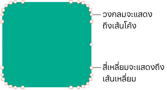 รูปร่างที่มีจุดที่แก้ไขได้