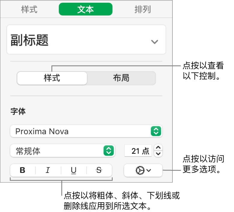 边栏中的“样式”控制，其中标注指向“粗体”、“斜体”、“下划线”和“删除线”按钮。