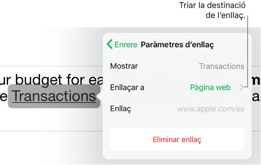 Els controls “Paràmetres d’enllaç” amb els camps Mostrar, “Enllaçar a” (amb l’opció “Pàgina web” seleccionada) i Enllaç. El botó “Eliminar enllaç” a la part inferior.