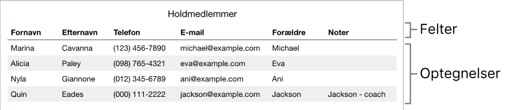 En tabel, der er indstillet korrekt til brug med formularer, med en overskriftsrække med felterne og en overskriftskolonne