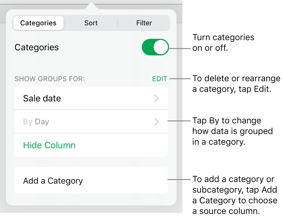 The Categories menu for iPad with options for turning categories off, deleting categories, regrouping data, hiding a source column and adding categories.