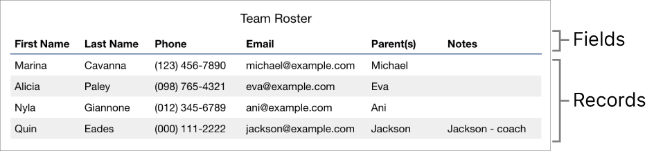 A table properly set up for use with forms, with a header row that includes the field labels, and a list of records showing contact information for a sports team roster.