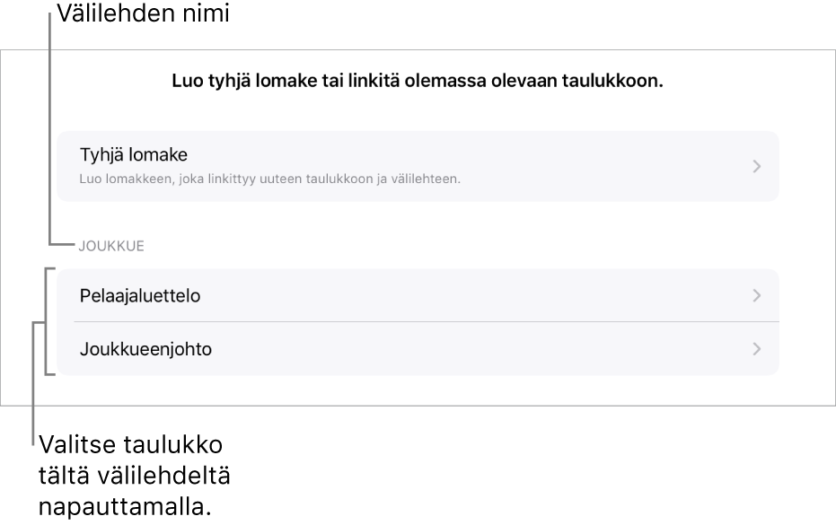 Samassa laskentataulukossa olevien taulukoiden luettelo ja ylhäällä valinta, jolla voi luoda tyhjän lomakkeen.