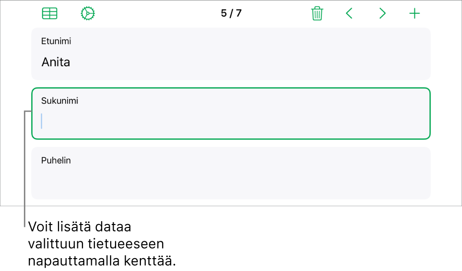 Lomakkeen tietue, jossa näkyy aktiivinen kenttä ja lisäyskohta.