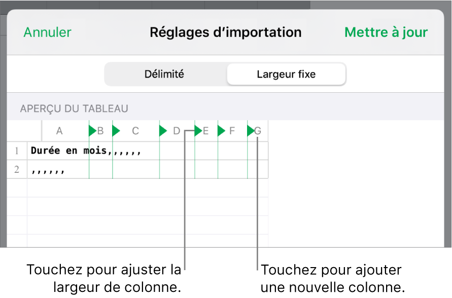 Réglages d’importation d’un fichier texte à largeur fixe.