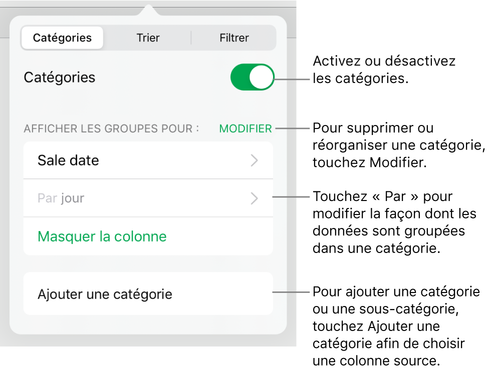 Le menu Catégories pour iPad, avec des options permettant de désactiver les catégories, supprimer des catégories, regrouper des données, masquer une colonne source et ajouter des catégories.