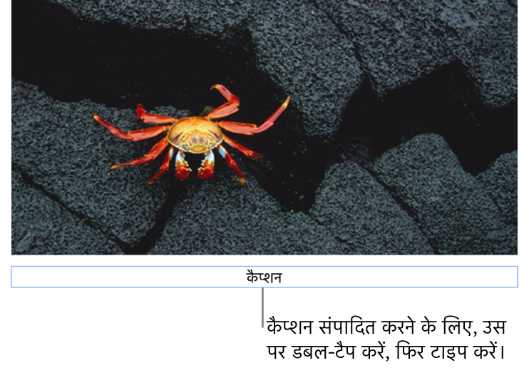 प्लेसहोल्डर कैप्शन, “कैप्शन” तस्वीर के नीचे दिखाई देता है; यह चयनित है दिखाने के लिए कैप्शन फ़ील्ड के चारों तरफ़ एक नीली बाह्यरेखा दिखाई देती है।