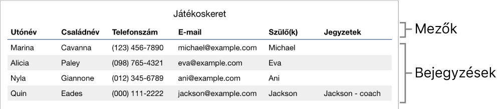 Űrlapok használatára beállított táblázat egy mezőcímkéket tartalmazó fejlécsorral és egy bejegyzések listájával, amiben a sportcsapat tagjainak az adatai láthatók.