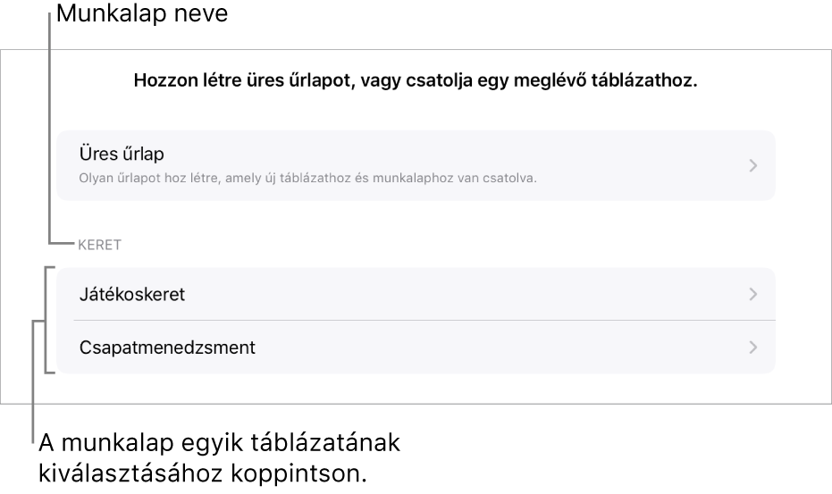 Azonos táblázatban megnyitott táblázatok listája, a fent található üres űrlap létrehozására szolgáló beállítással.