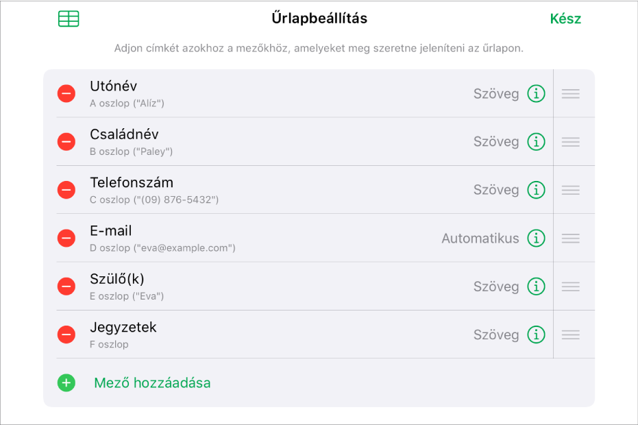 Űrlapbeállítás mód, a mezők hozzáadására, szerkesztésére, átrendezésére és törlésére, valamint azok formátumának (pl. Szöveg vagy Százalék) módosítására szolgáló beállításokkal.