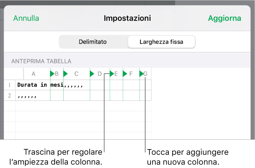 Impostazioni di importazione per un file di testo a larghezza fissa.