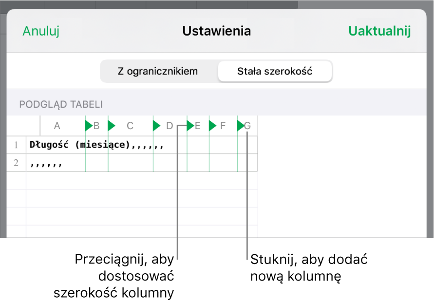 Ustawienia importowania pliku tekstowego o stałej szerokości.