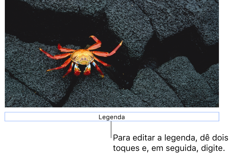 O marcador de posição de legenda, “Legenda”, aparece sob a fotografia; um contorno azul em redor do campo de legenda para mostrar que está selecionado.