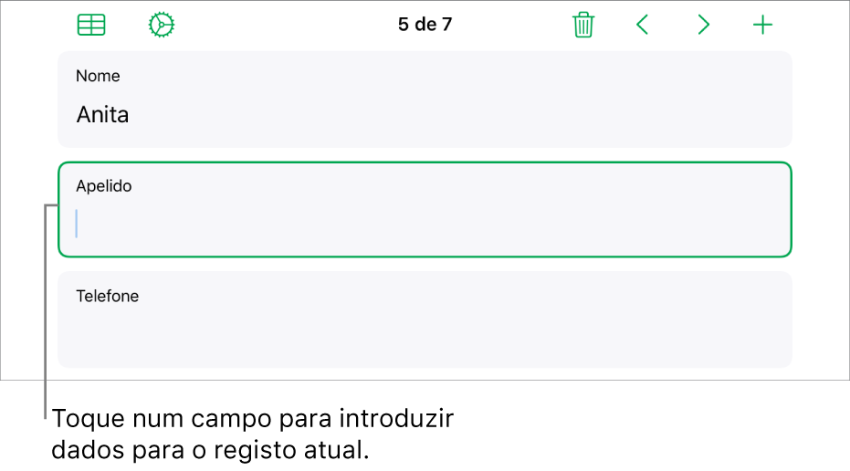 Um registo num formulário a mostrar um campo ativo com um ponto de inserção.