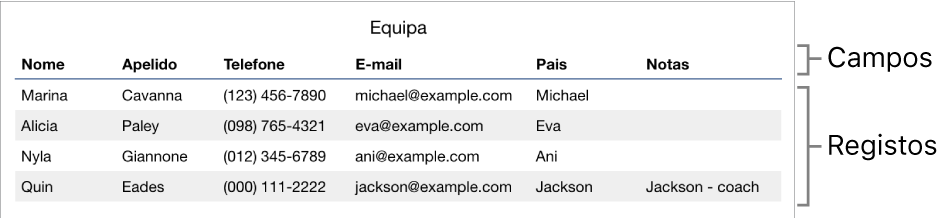 Tabela configurada corretamente para usar com formulários, com uma linha de cabeçalho que inclui etiquetas de campo e uma lista de registos, que mostra a informação de contacto de um plantel de uma equipa desportiva.