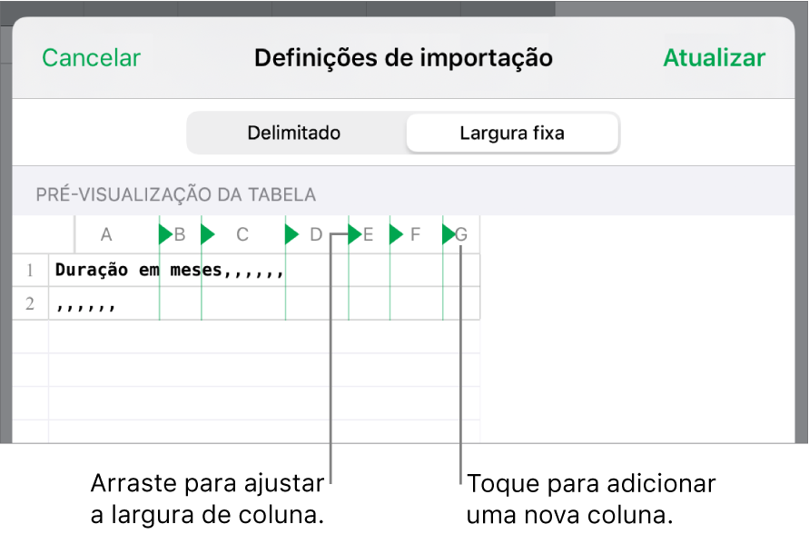 As definições de importação para um ficheiro de texto de largura fixa.