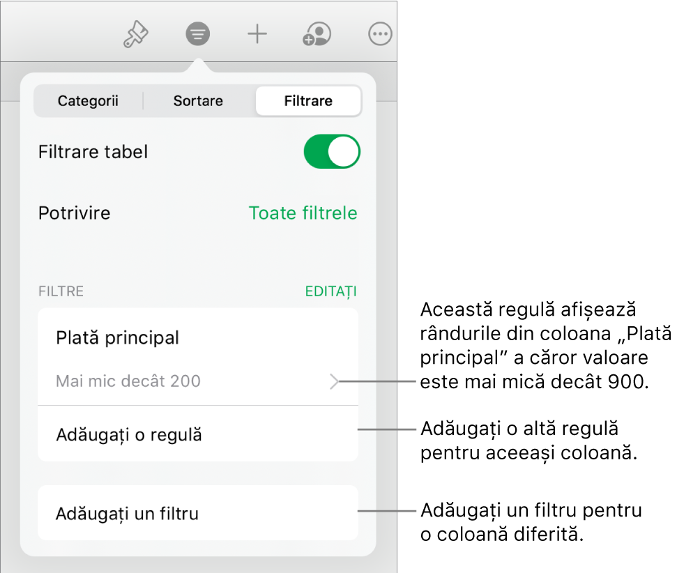Comenzile pentru adăugarea de noi reguli de filtrare sau editarea celor existente.