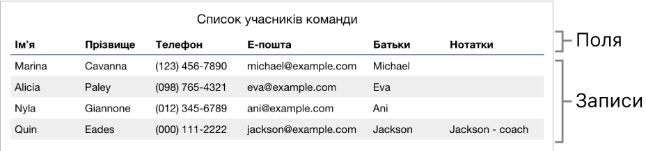 Таблиця, правильно налагоджена для роботи з формами, з титульним рядком із підписами полів і зі списком записів, що містять контактні дані членів спортивної команди.