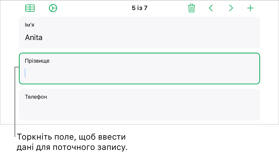 Запис у формі з активним полем і точкою вставлення.