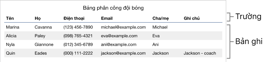 Một bảng được thiết lập đúng cách để sử dụng với biểu mẫu, với hàng tiêu đề bao gồm các nhãn trường và danh sách các hồ sơ đang hiển thị thông tin liên hệ cho bảng phân công đội thể thao.