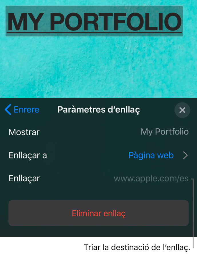 Els controls “Paràmetres d’enllaç” amb els camps Mostrar, “Enllaçar a” (amb l’opció “Pàgina web” seleccionada) i Enllaç. El botó “Eliminar enllaç” a la part inferior.
