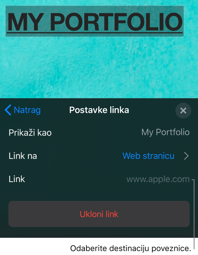 Kontrole Postavke linkova s poljem Prikaži, Link na (odabrana je Web stranica) i Link. Tipka Ukloni link nalazi se pri dnu.