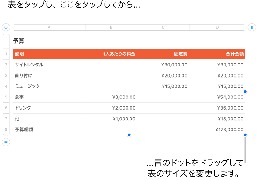 選択された表。サイズを変更するための青いドットが表示された状態。