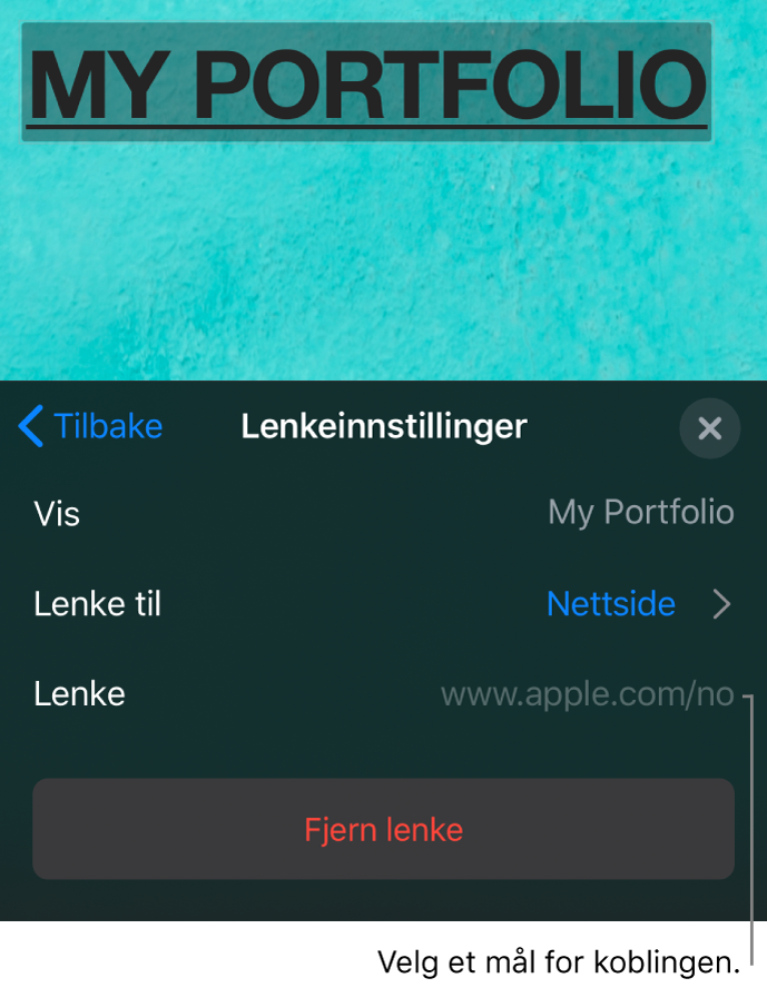 Lenkeinnstillinger-kontrollene med felter for Visning, Lenke til (stilt til Nettside) og Lenke. Fjern Lenke-knappen er nederst.