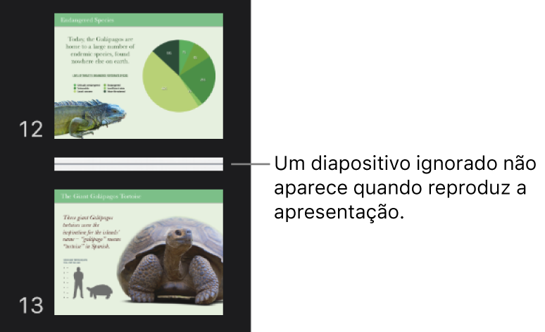 O navegador de diapositivos com um diapositivo ignorado visível como uma linha horizontal.