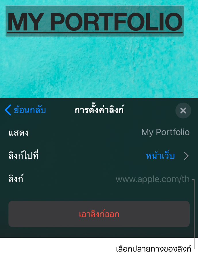 ตัวควบคุมการตั้งค่าลิงก์โดยมีช่องต่างๆ สำหรับการแสดงผล ลิงก์ไปที่ (หน้าเว็บถูกเลือกอยู่) และลิงก์ ปุ่มเอาลิงก์ออกอยู่ด้านล่างสุด