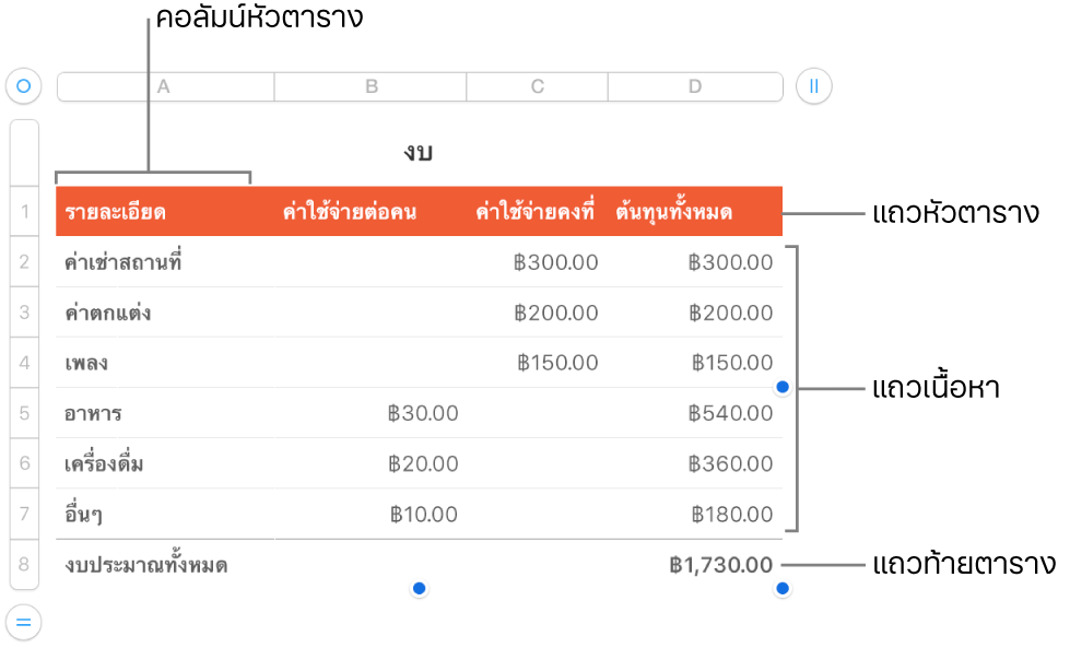 ตารางที่แสดงแถวและคอลัมน์หัวตาราง ตัวตาราง และท้ายตาราง และขอบจับเพื่อเพิ่มหรือลบแถวหรือคอลัมน์