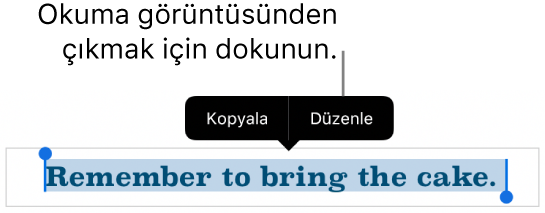 Bir cümle seçilir, üstünde Kopyala ve Düzen düğmeleri ile bağlamsal menü bulunur.